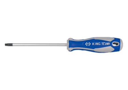WKRĘTAK TORX  Z  OTWOREM  T20   5,0 x 100mm