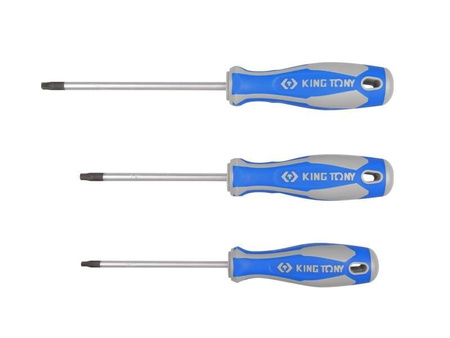 WKRĘTAK TORX   T10   3,2 x 75mm