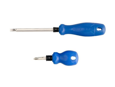 WKRĘTAK DWUSTRONNY KRZYŻAKOWY  No.2 + PŁASKI   6,5 x 1,2mm  x 100mm