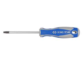 WKRĘTAK TORX  Z  OTWOREM  T25   6,0 x 100mm