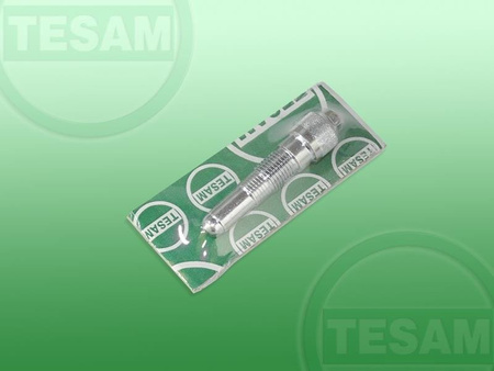  S0001309 - Sworzeń blokady wału korbowego Vokswagen, Audi 2,4  3,0  3,2   4,2   5,2 FSi TFSI