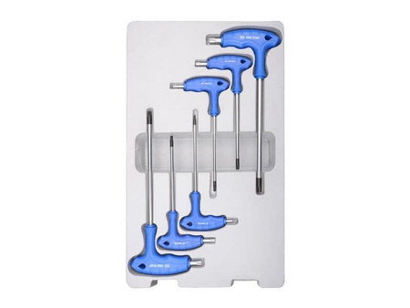 ZESTAW IMBUSÓW  Z  UCHWYTEM ''L''  6szt.  1163  -  TORX / TORX  Z  OTWOREM  T10 - T40,  KARTON