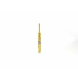 Gniazdo pinu żeński/męski