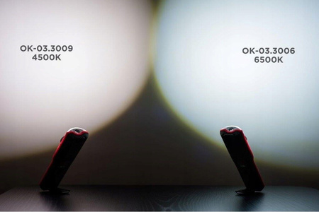 LAMPA WARSZTATOWA 1000 LM ROOKS OK-03.3006