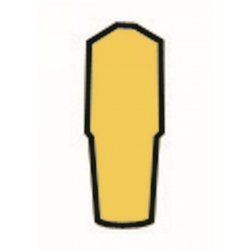 Elektroda prosta PTE